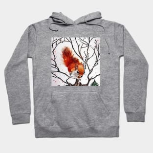 Winter Squirrel in Watercolor Hoodie